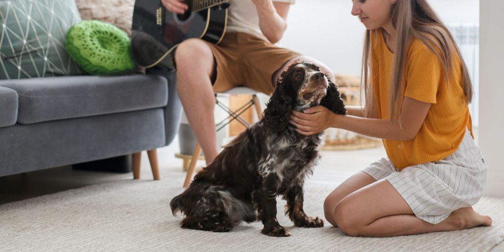 A women is holding her kiten with dog next to her.