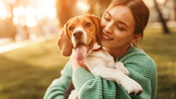 Beagle being held by woman in green jumper