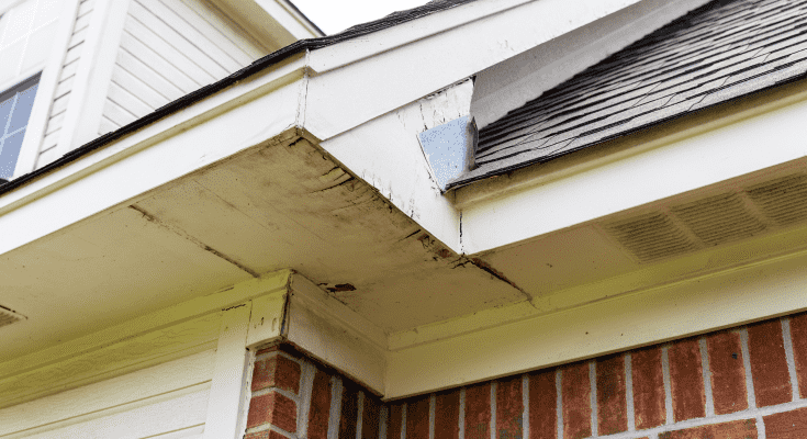 Close up of damage caused by damp on a roof